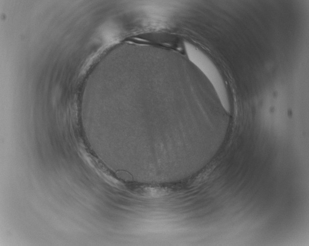 X0000051890442200507081943