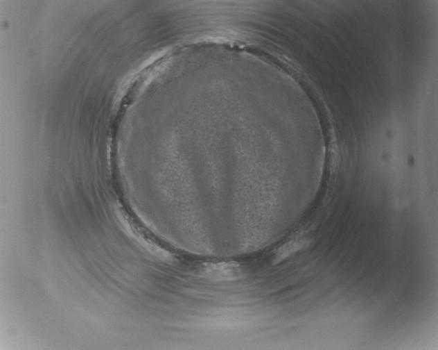 X0000051890446200507081943