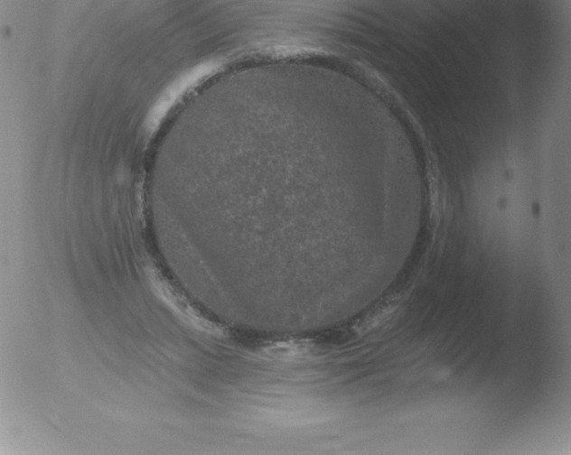 X0000051890447200507081943