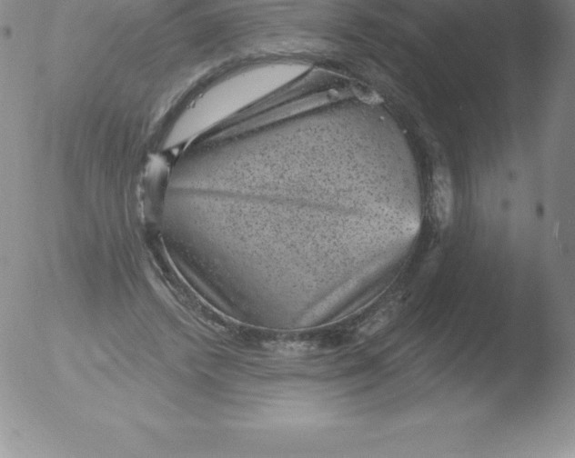 X0000051890448200507081943