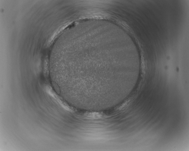 X0000051890449200507081943