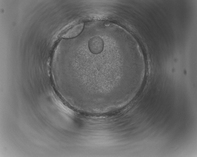 X0000051890450200507081943