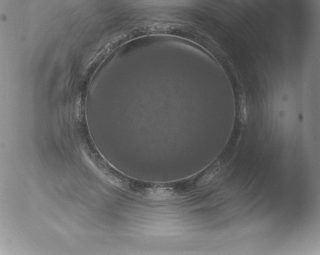 X0000051890451200507081943