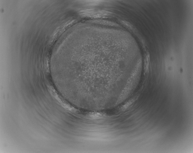 X0000051890453200507081943