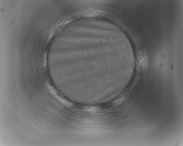 X0000051890454200507081943