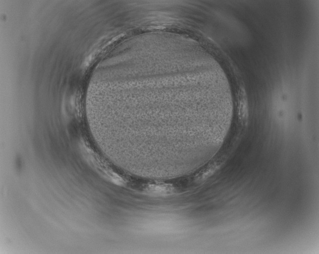 X0000051890455200507081943