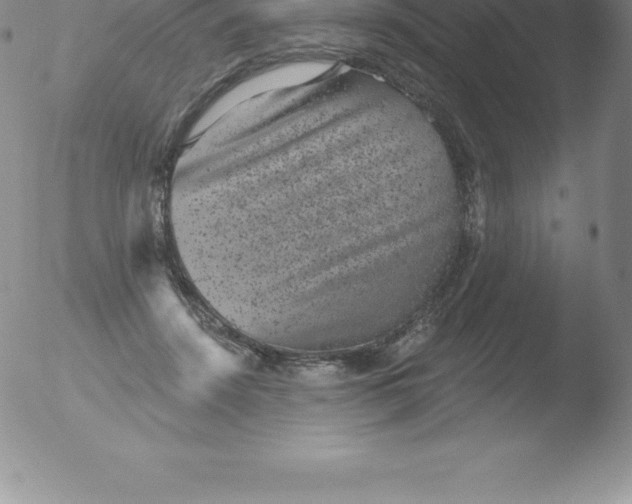 X0000051890456200507081943