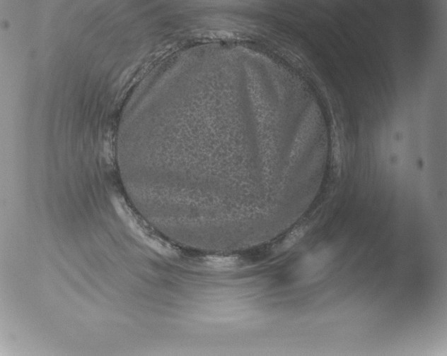 X0000051890457200507081943