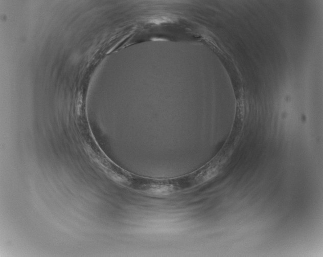 X0000051890458200507081943