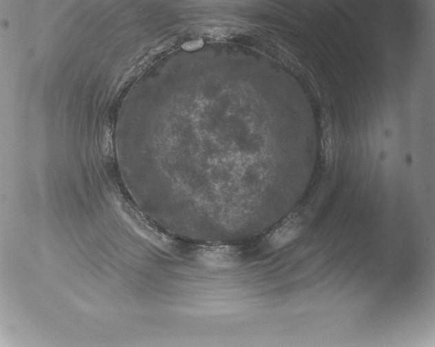 X0000051890459200507081943