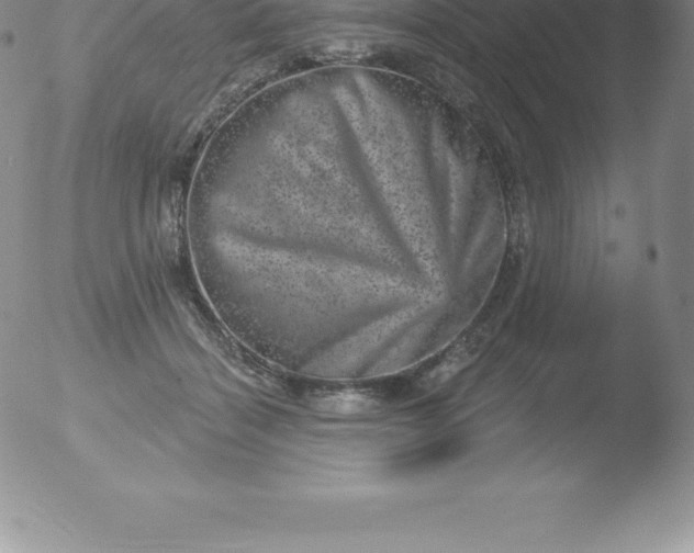 X0000051890460200507081943