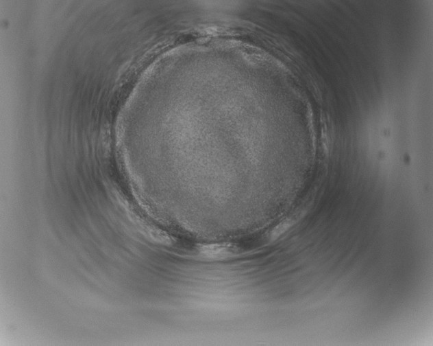 X0000051890461200507081943