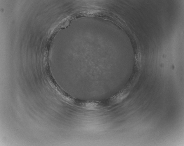 X0000051890462200507081943