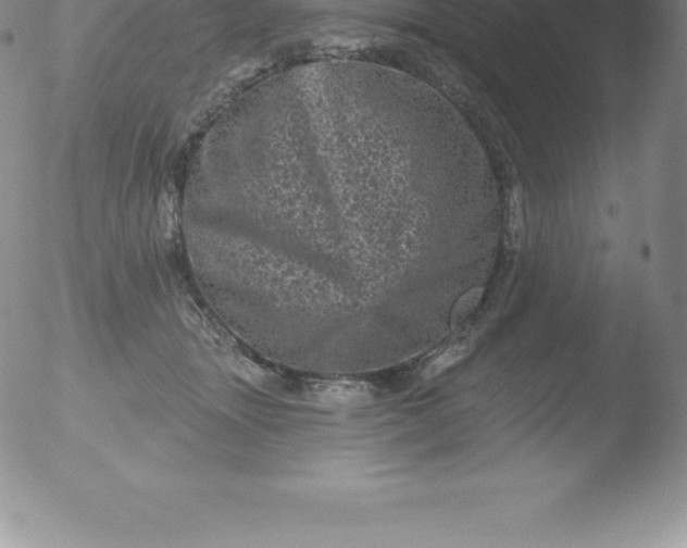 X0000051890463200507081943