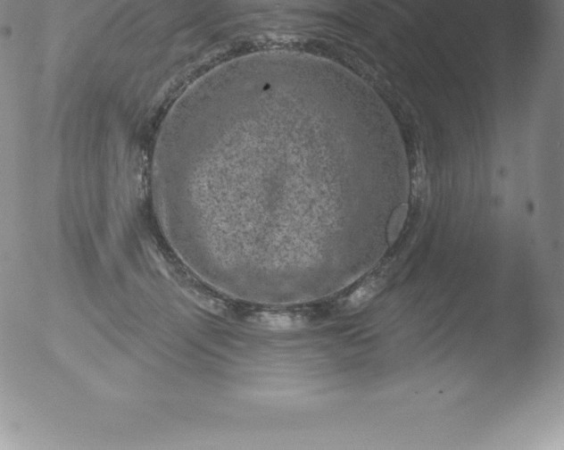 X0000051890464200507081943