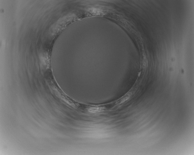 X0000051890465200507081943