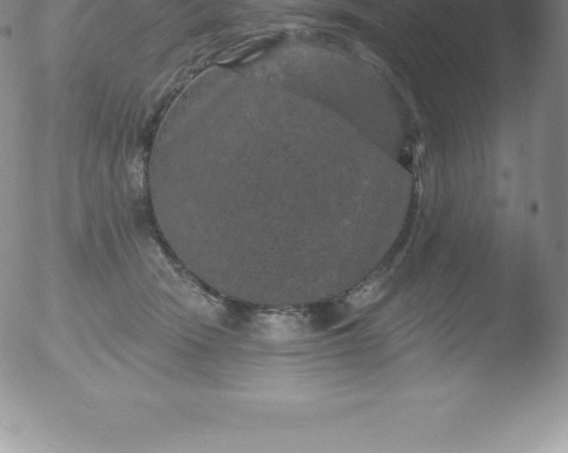 X0000051890466200507081943