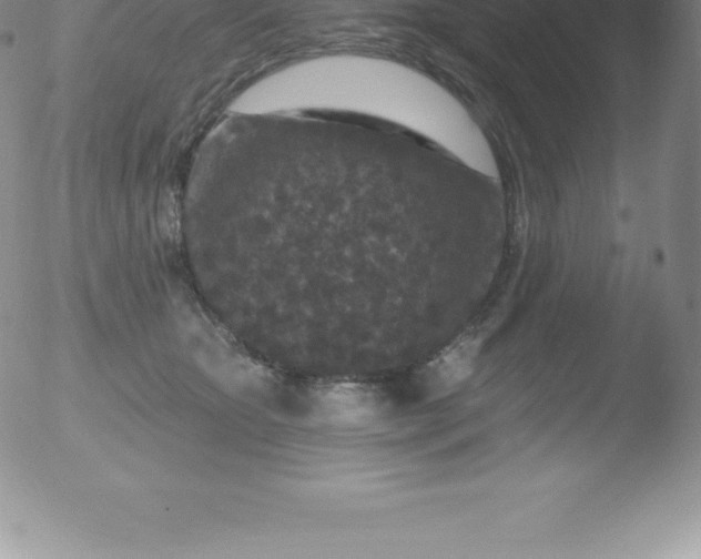 X0000051890467200507081943