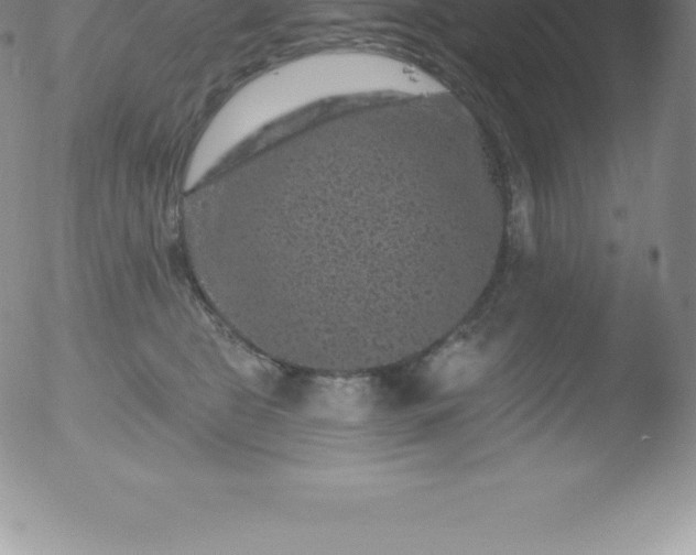 X0000051890469200507081943