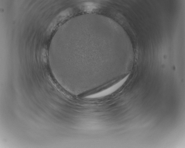 X0000051890470200507081943