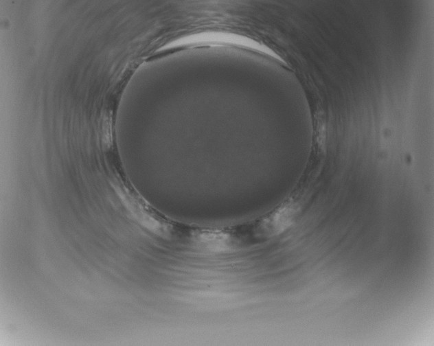 X0000051890471200507081943