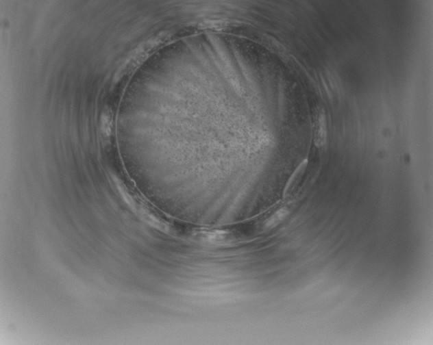 X0000051890472200507081943