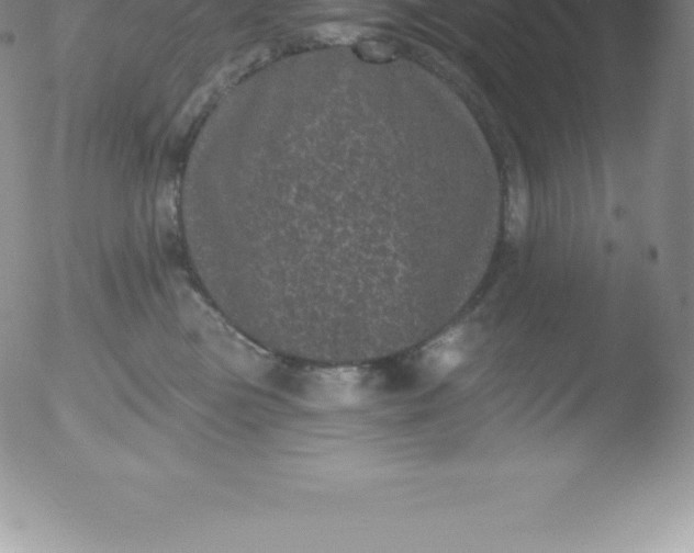 X0000051890473200507081943