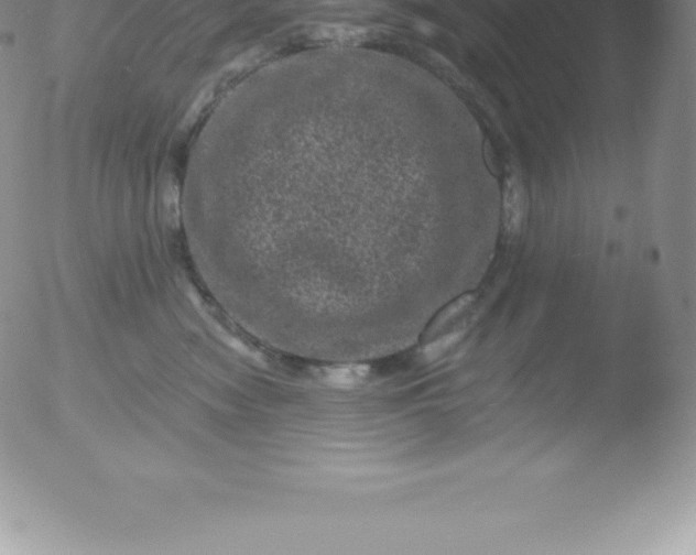 X0000051890474200507081943