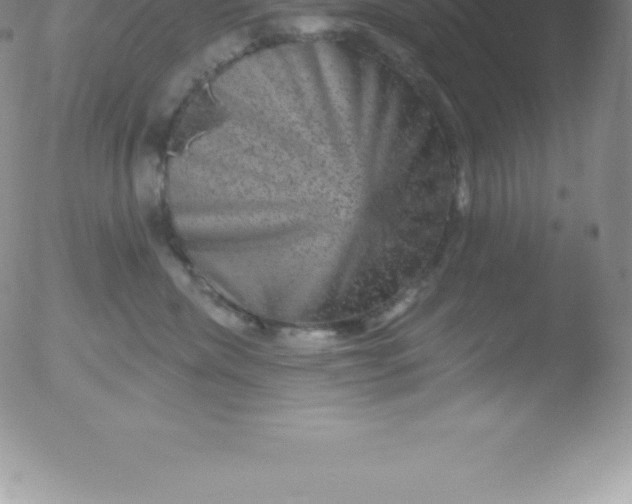 X0000051890476200507081943