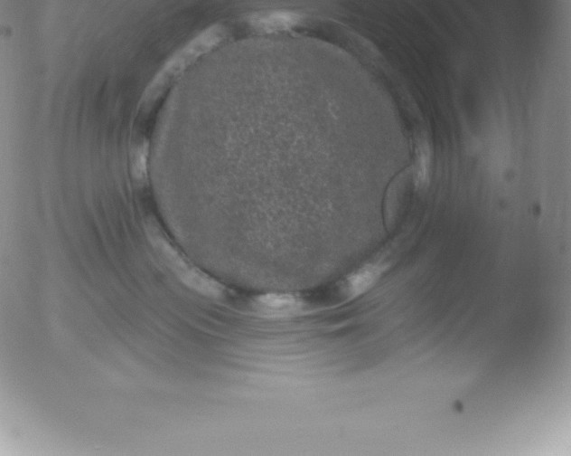 X0000051890477200507081943