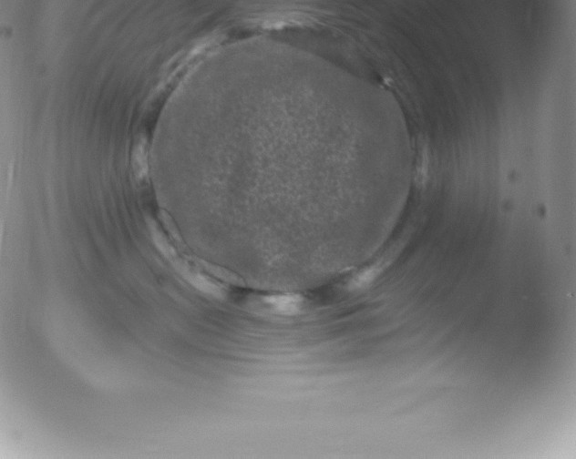 X0000051890478200507081943