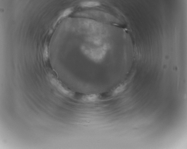 X0000051890479200507081943