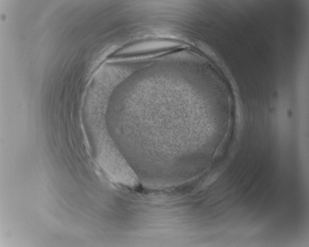 X0000051890481200507081942