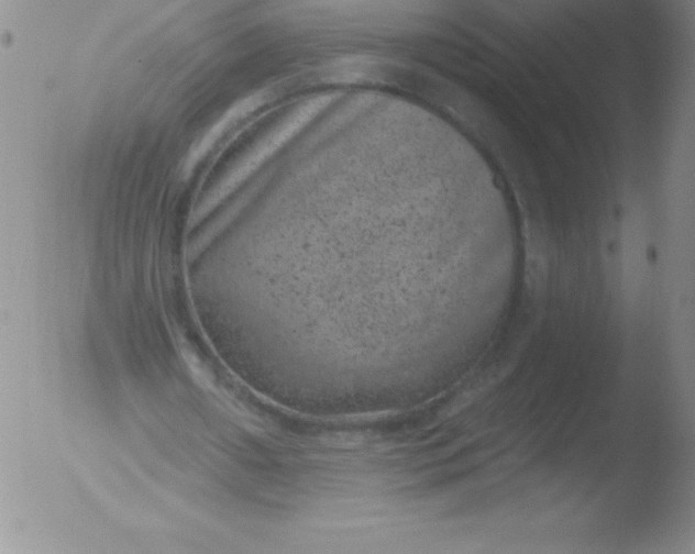 X0000051890482200507081942