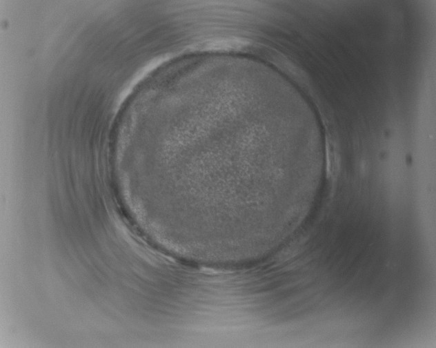 X0000051890483200507081942