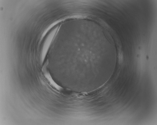 X0000051890484200507081942