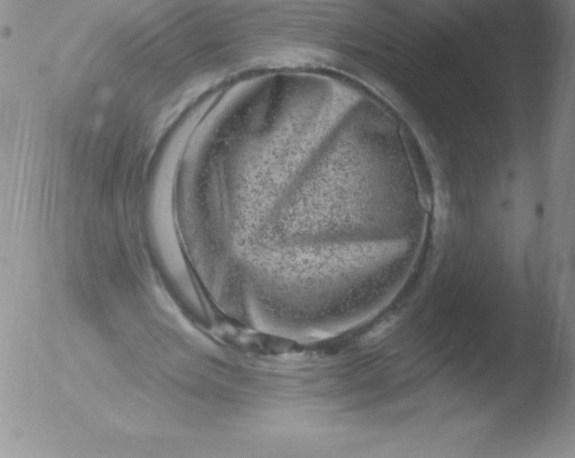 X0000051890485200507081942