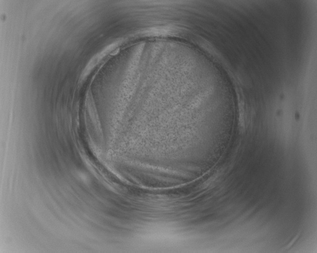 X0000051890486200507081942