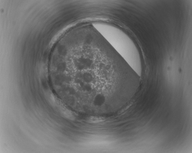 X0000051890487200507081942