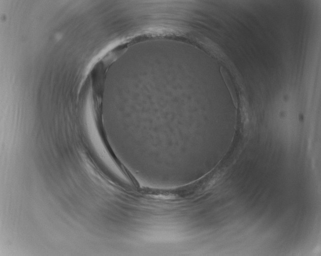 X0000051890488200507081942