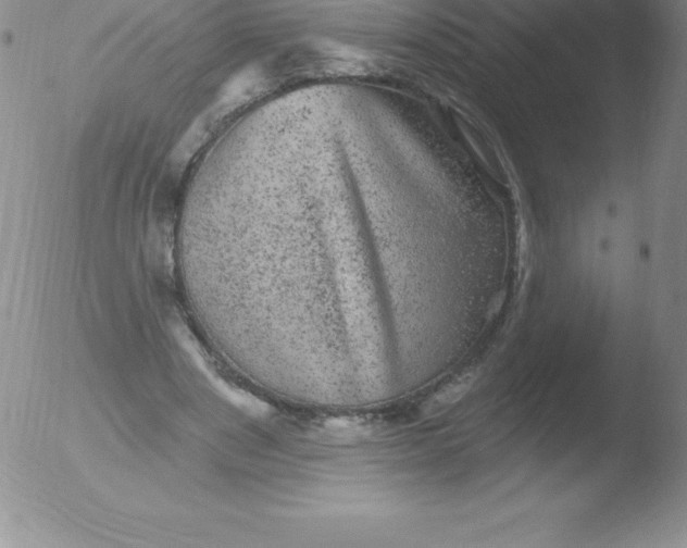 X0000051890489200507081942