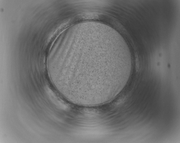 X0000051890490200507081942