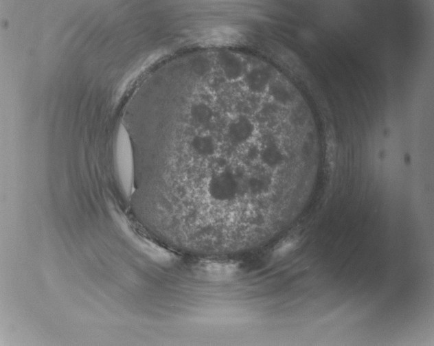 X0000051890491200507081942