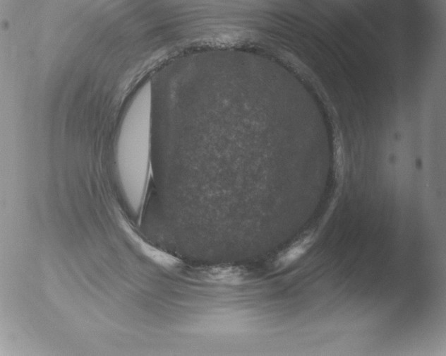 X0000051890493200507081942