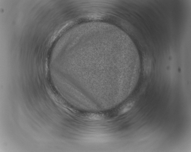 X0000051890494200507081942