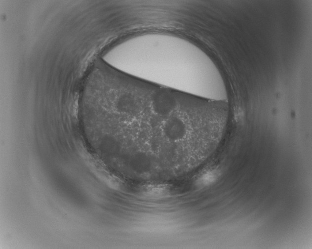 X0000051890495200507081942