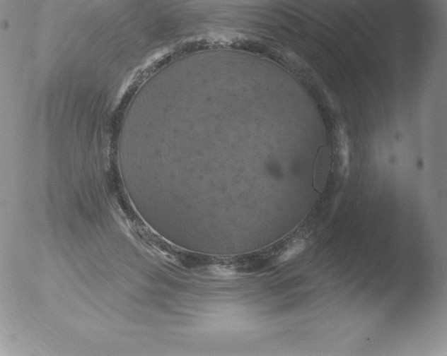 X0000051890496200507081942