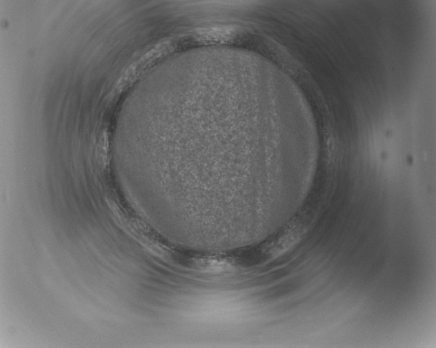 X0000051890498200507081942