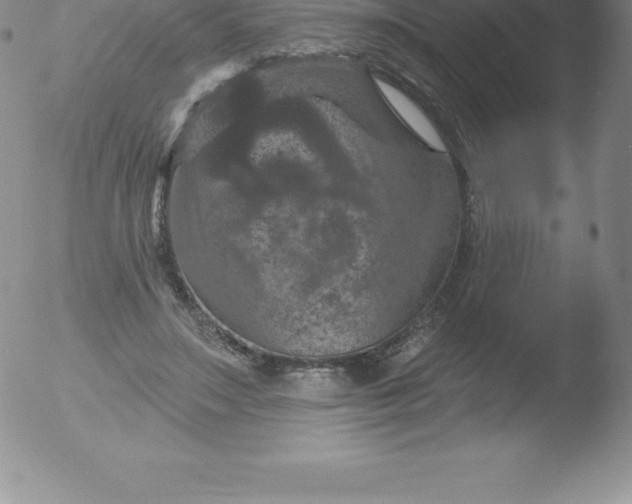 X0000051890499200507081942