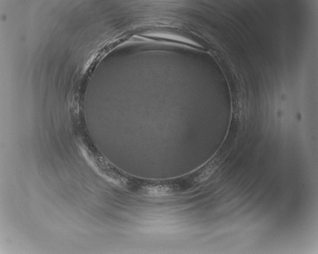 X0000051890500200507081942